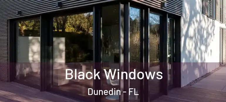 Black Windows Dunedin - FL
