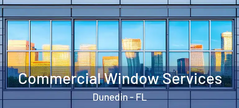 Commercial Window Services Dunedin - FL