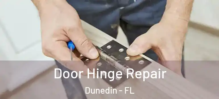 Door Hinge Repair Dunedin - FL