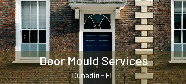 Door Mould Services Dunedin - FL