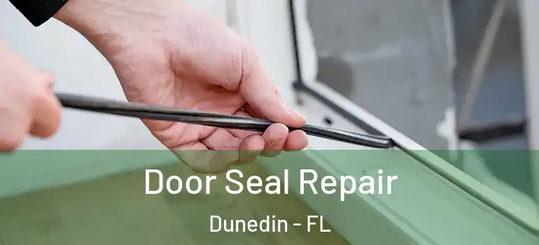 Door Seal Repair Dunedin - FL