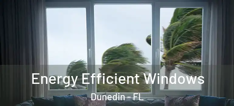  Energy Efficient Windows Dunedin - FL