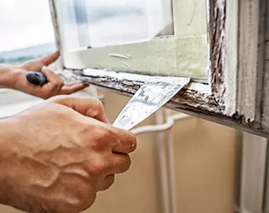 Professional Door and Windows Installation in Dunedin, FL