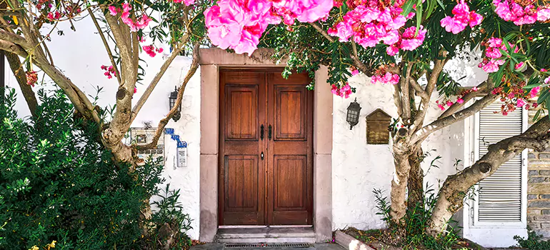 Traditional 4 Panel Internal Doors in Dunedin, FL
