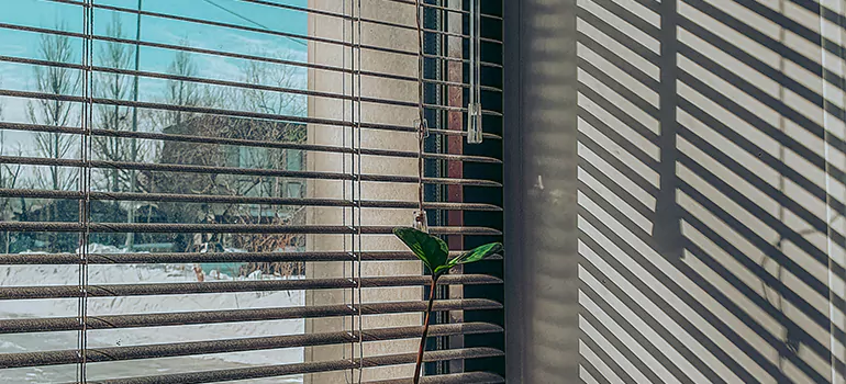 Commercial Window Blinds in Dunedin, FL