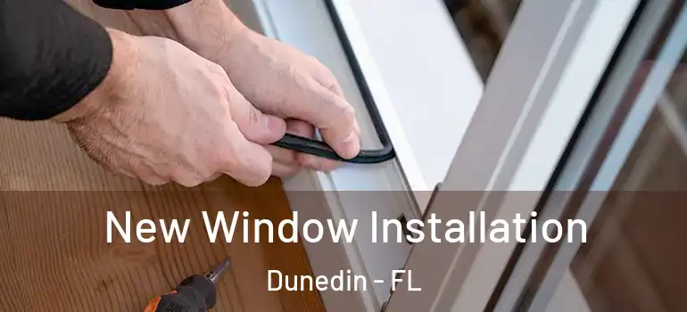 New Window Installation Dunedin - FL