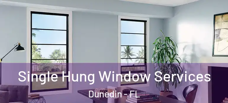 Single Hung Window Services Dunedin - FL