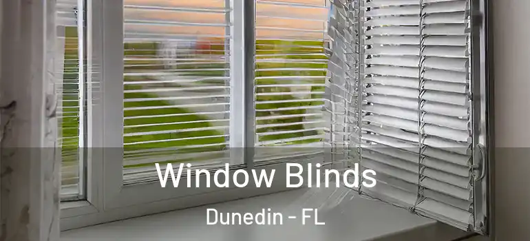 Window Blinds Dunedin - FL