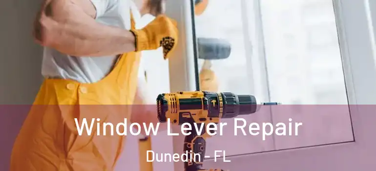Window Lever Repair Dunedin - FL