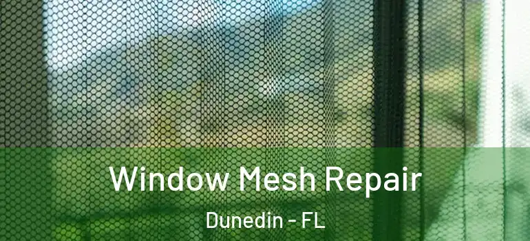 Window Mesh Repair Dunedin - FL